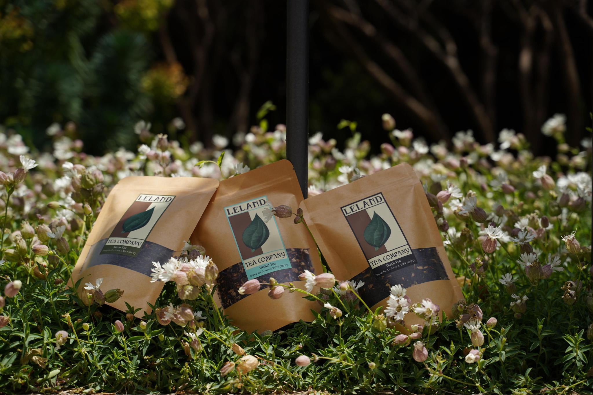 Leland Tea Company